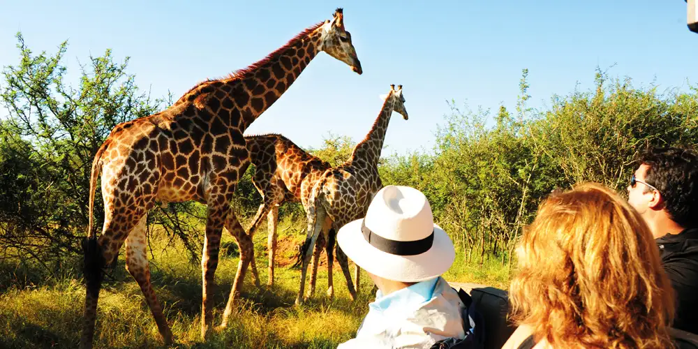 Pakk smart for safari