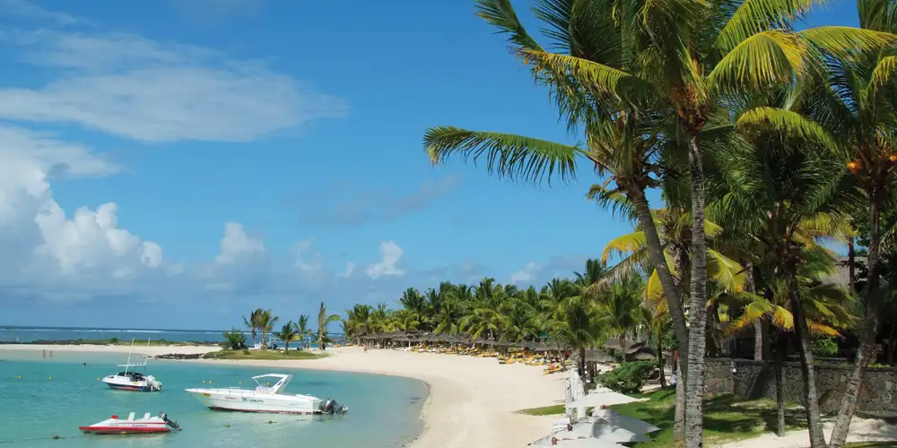 Valgets kval – Drømmeøyer