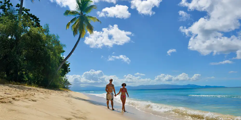 Gallisk godbit i Karibia