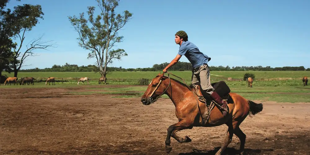 Frieri fra hesteryggen i Argentina