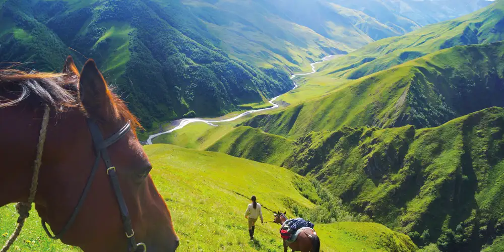 På fire bein i fjellheimen