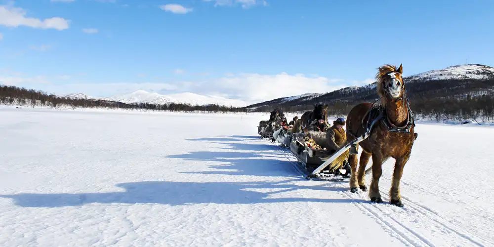 Viddas vakre vinterland