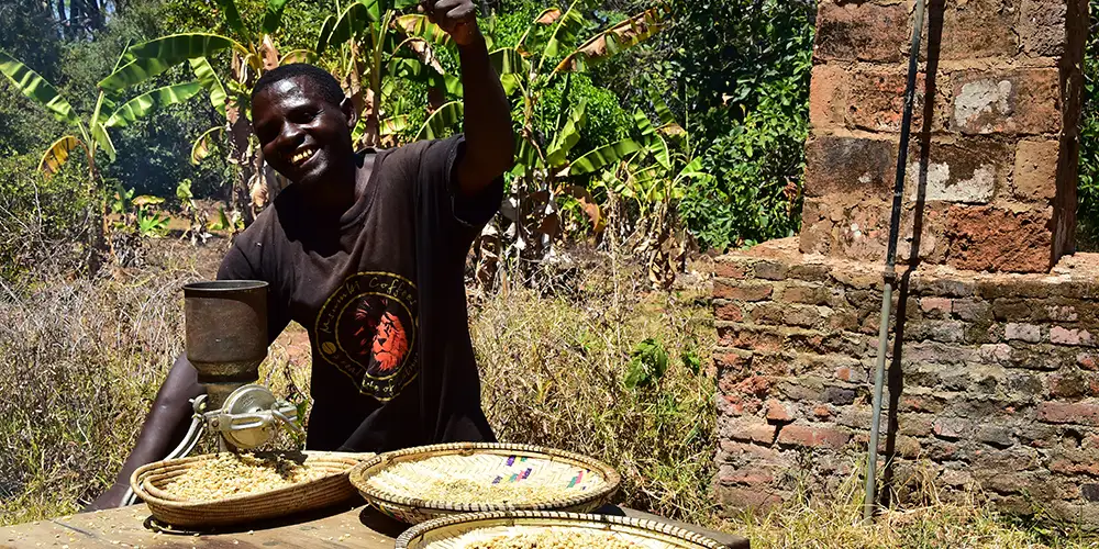 Den afrikanske kaffefarm