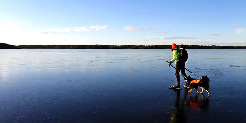 Speilblank vintermoro