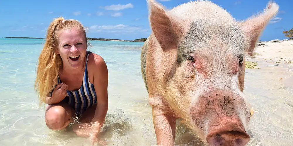 Grisebra strandferie