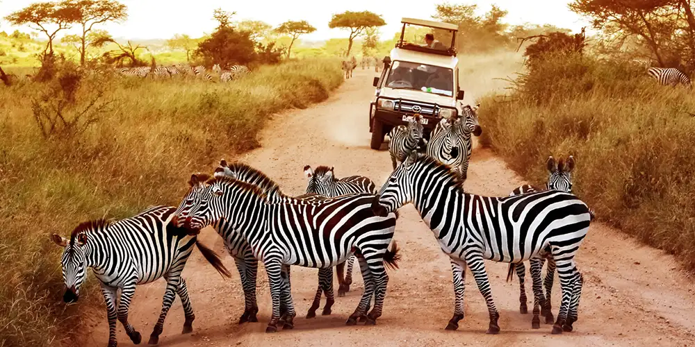 Vaksineguide: Afrika