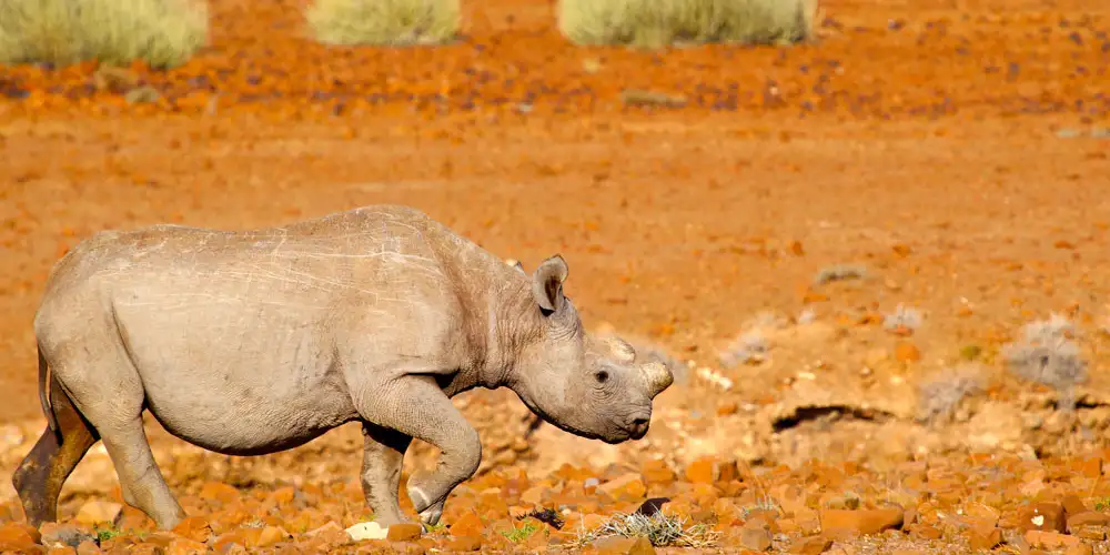 Overtro, håp og kjærlighet