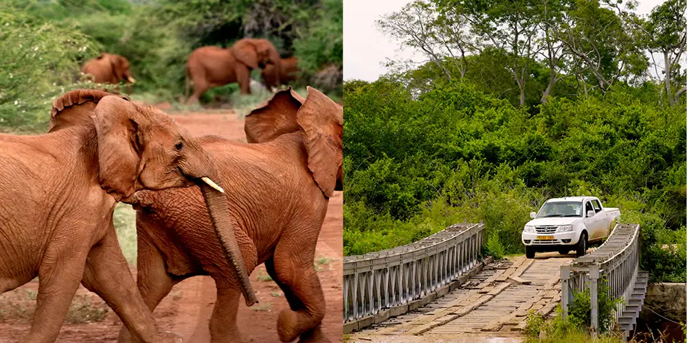 På ville veier i Afrika