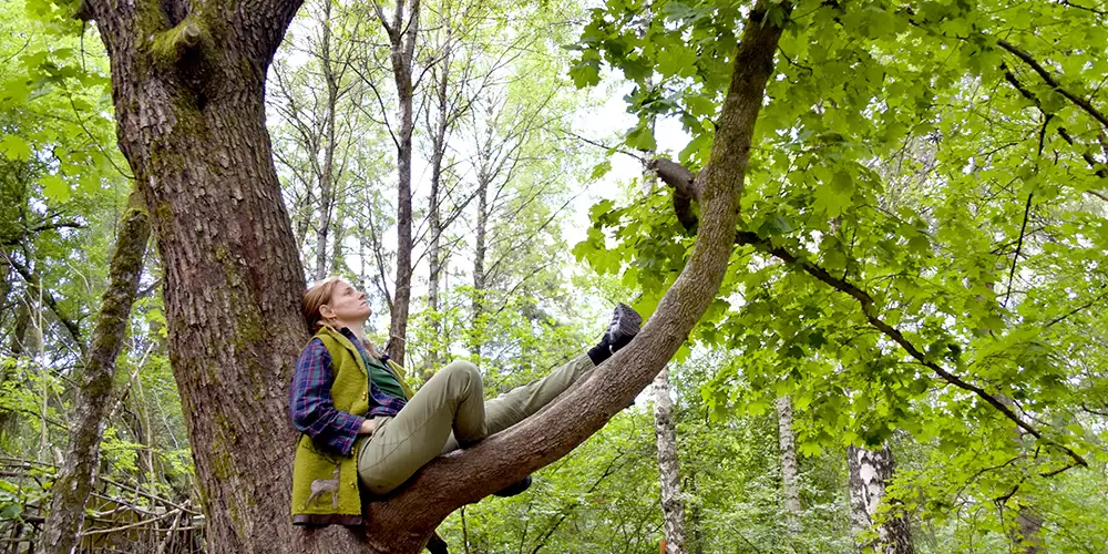 Stress ned med skogsbading