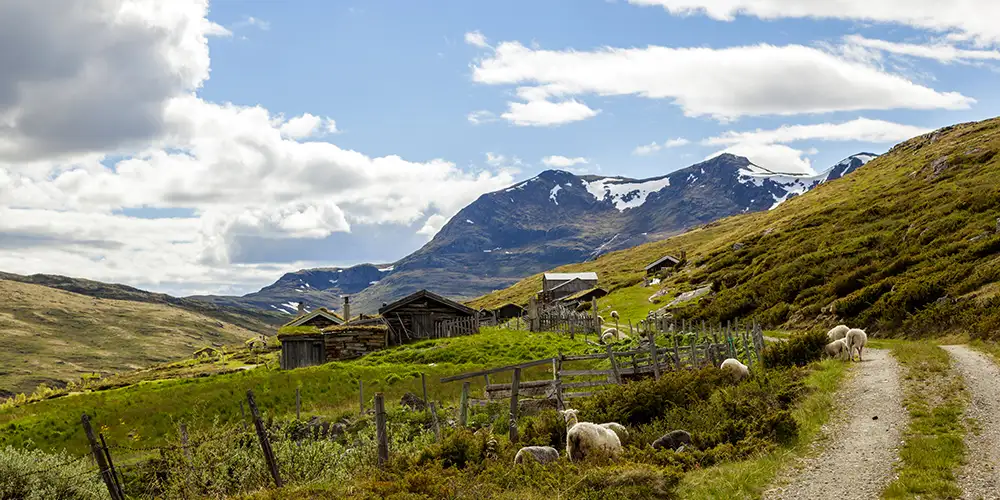 Reisetipset: Dra på Norgesturné