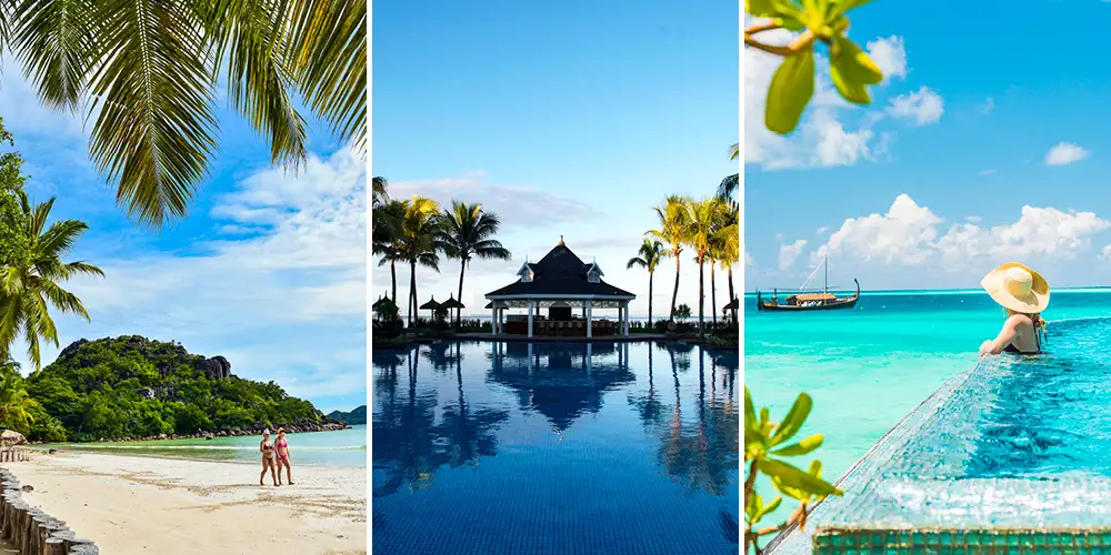 Mauritius, Seychellene eller Maldivene?