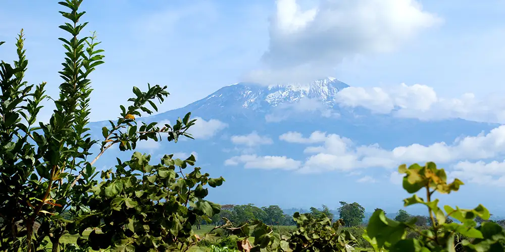 Når minnene våkner