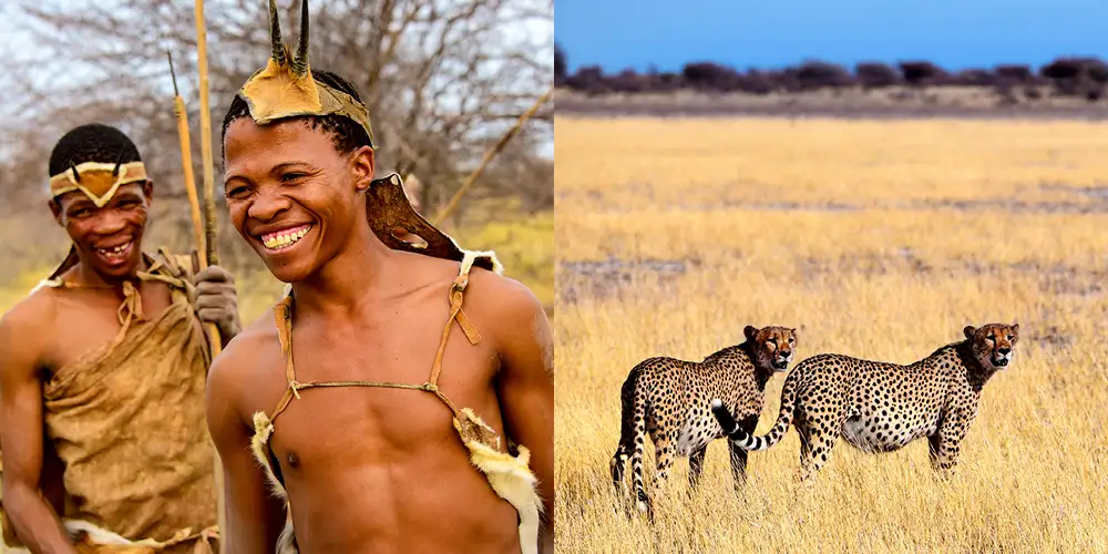 San og safari i Kalahariørkenen