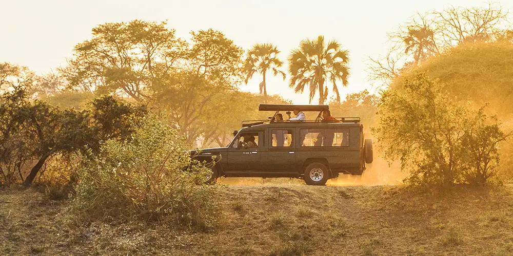 Afrikas beste safarier