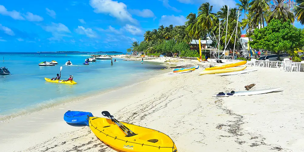 Endelig en vaksine mot dødelig dengue