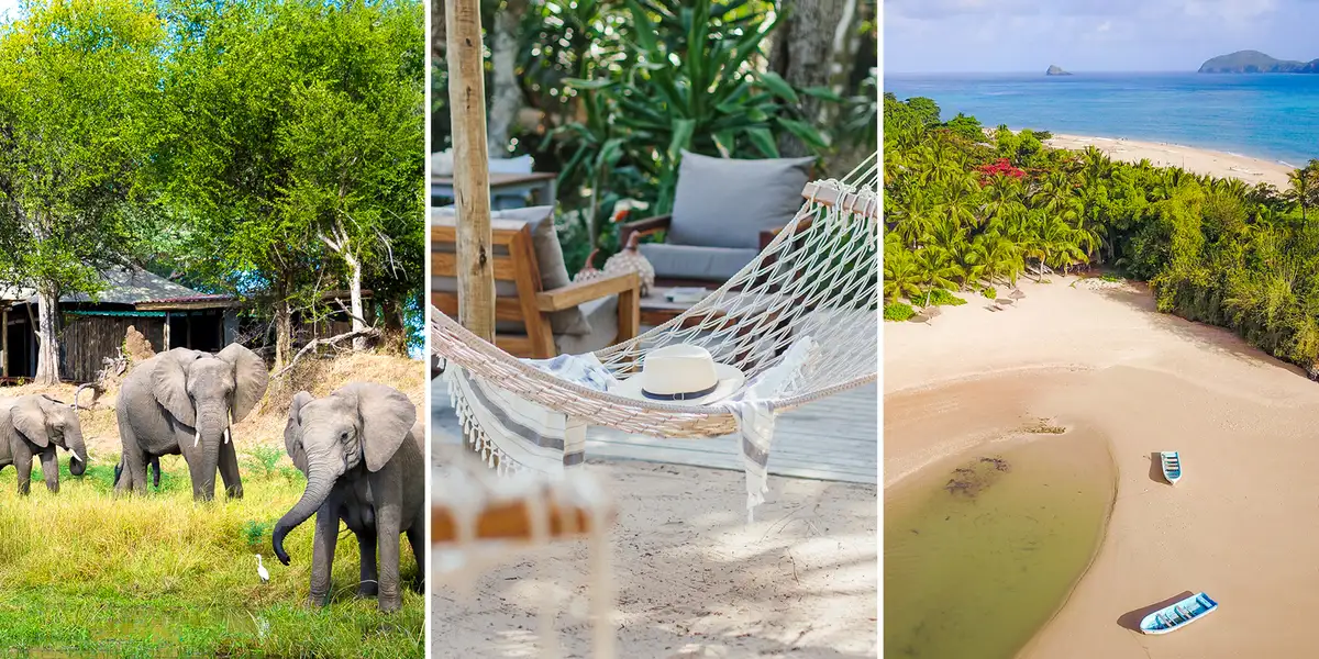 Ekspertenes Afrika-favoritter