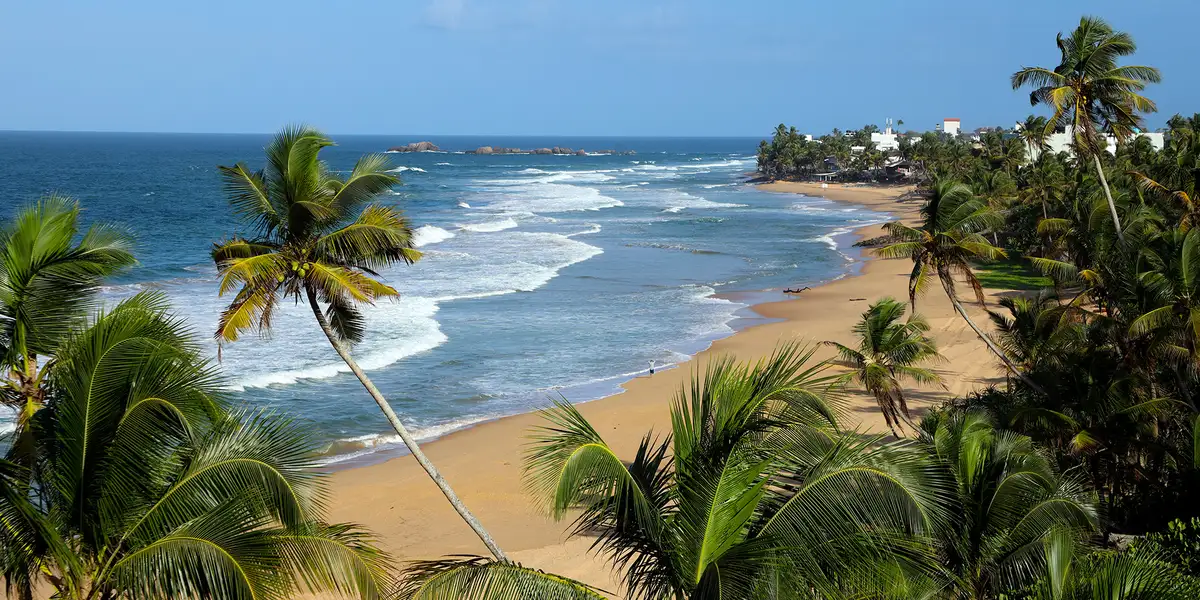 Fant sitt paradis på Sri Lanka