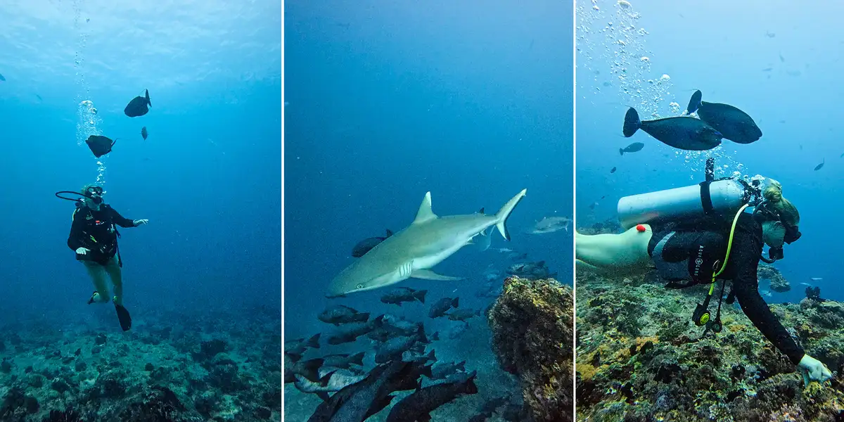 Testreise: En soloreisers siste hilsen