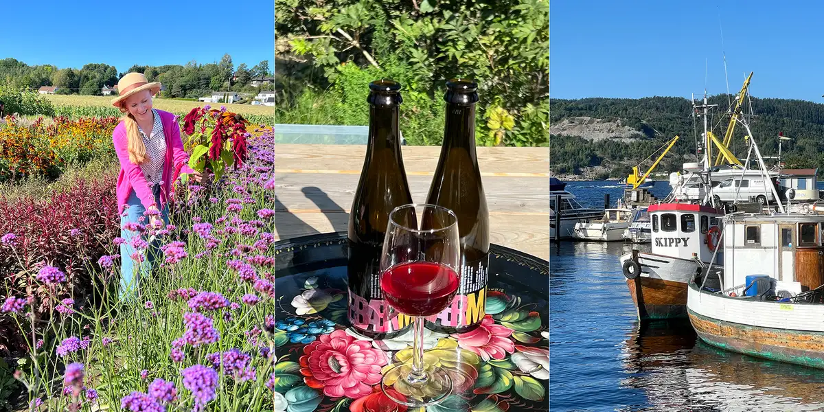 Oslofjordens matskatter