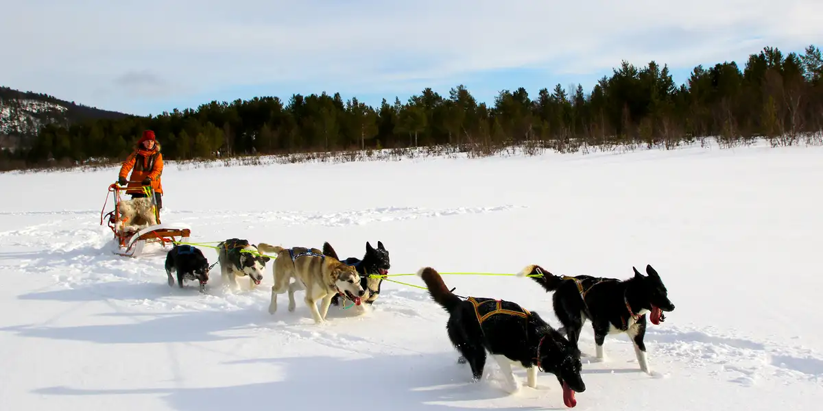 Spennende vinteropplevelser i Nord-Norge