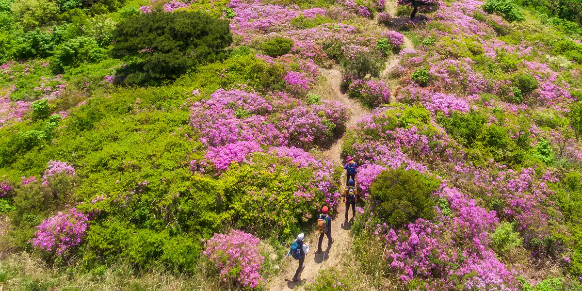 11. Sør-Korea – Aktiv og urban