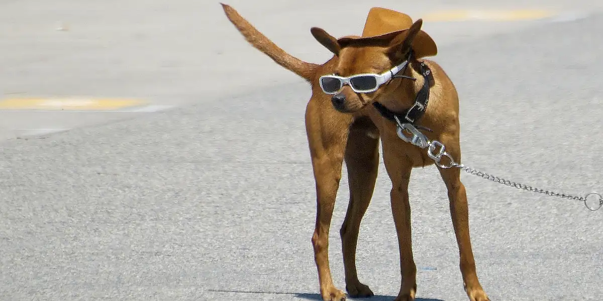 Våre beste reisehacks