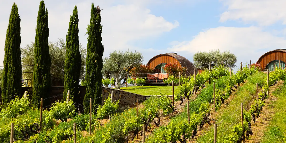 En natt på druen i Dourodalen