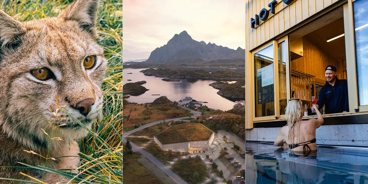 Spennende reisenyheter i Norge