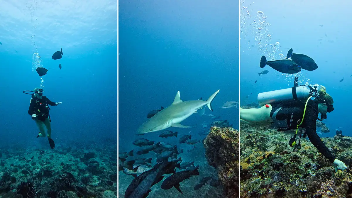 Testreise: En soloreisers siste hilsen