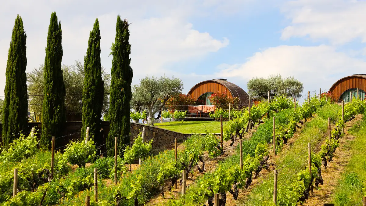 En natt på druen i Dourodalen