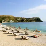 Den nye sommerfavoritten