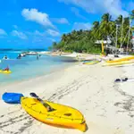 Endelig en vaksine mot dødelig dengue