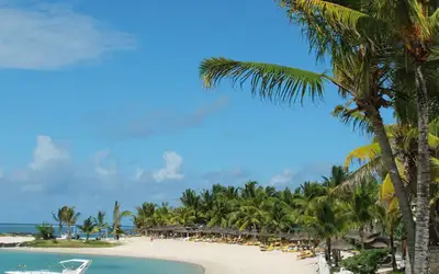 Valgets kval - Drømmeøyer