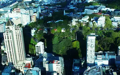 Aucklands aller beste