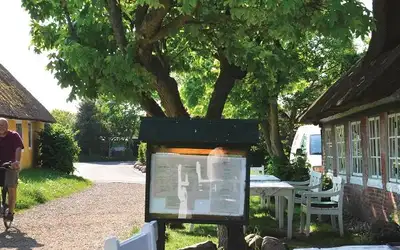 Dansk sommeridyll på Fanø