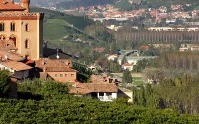 Vinlykke i Piemonte