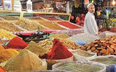 Taroudant: Lille Marrakech