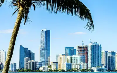 Miami Nice