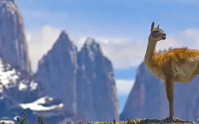 Sør-Amerikas fineste fotturer