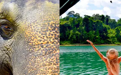 Glamping med elefanter