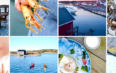 Vinterpadling i skjærgården