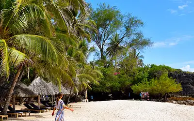 Afrikas drømmestrender