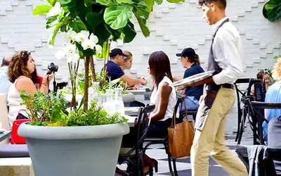 Gjemt gourmet i Tampa