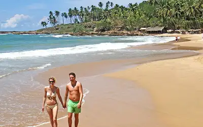 10 PÅ TOPP: Sri Lanka