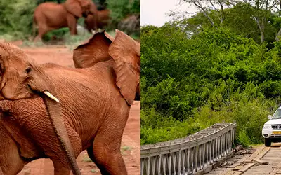 På ville veier i Afrika