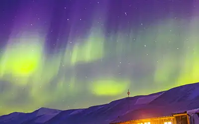 Eksotisk vintereventyr