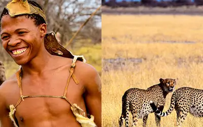 San og safari i Kalahariørkenen