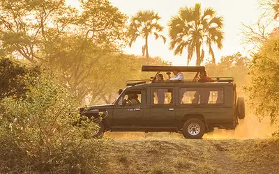 Afrikas beste safarier