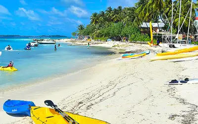 Endelig en vaksine mot dødelig dengue