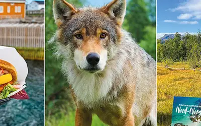 Forfatternes 11 favoritter i eventyrlige Nord-Norge